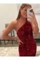 Sleeveless One Shoulder Velvet Sequin Pink Sweep Train Prom Dress Adelaide